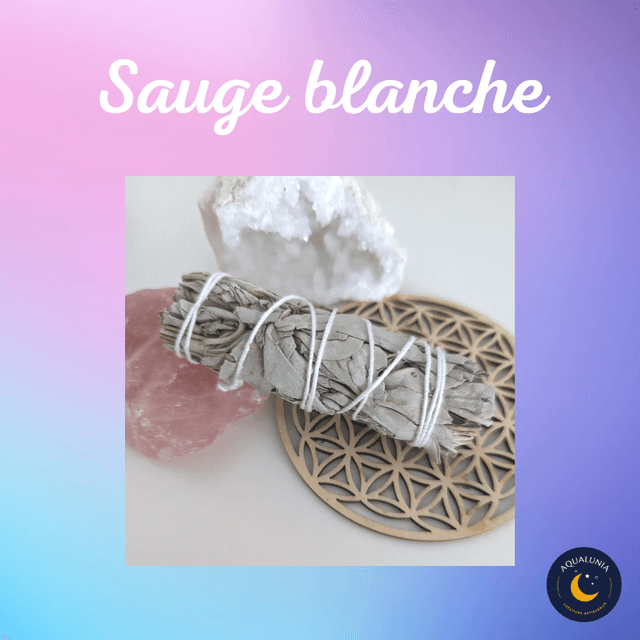 Fagot de sauge blanche de Californie