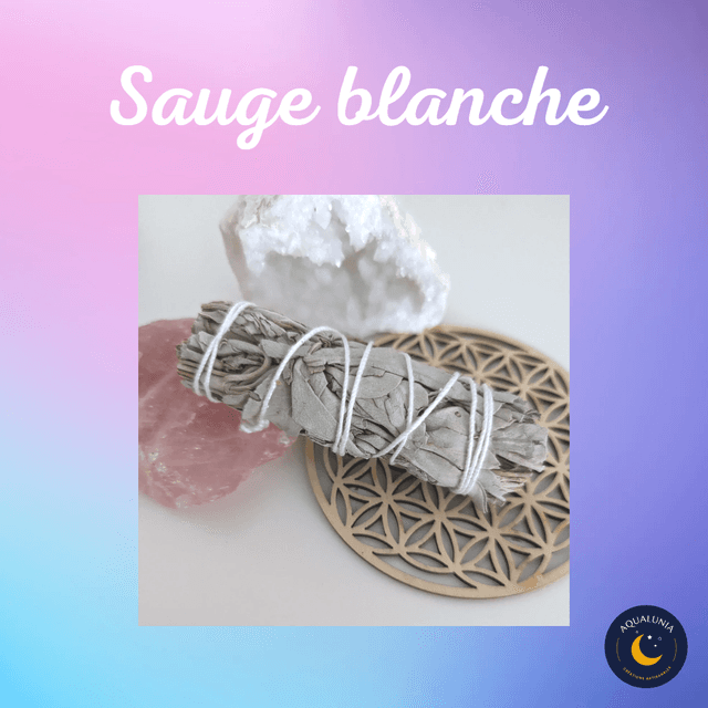 Fagot de sauge blanche de Californie